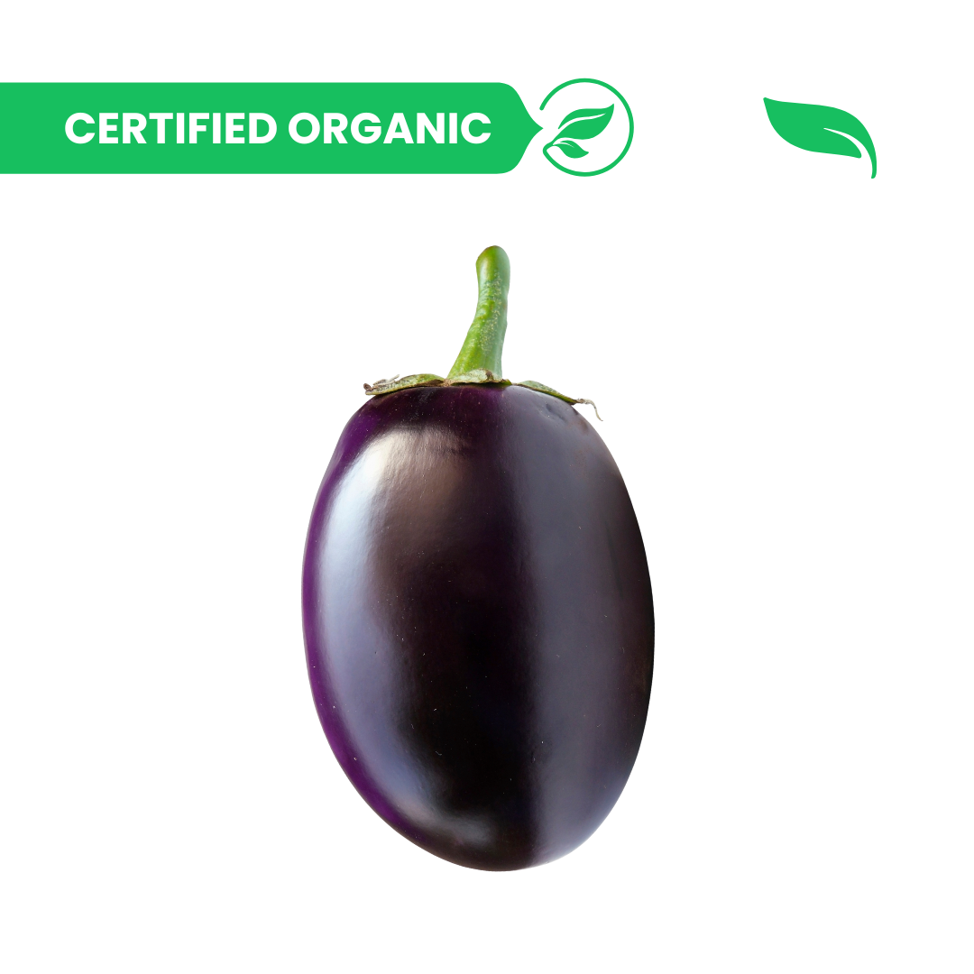 Brinjal Big Round (Bharta) - 1kg