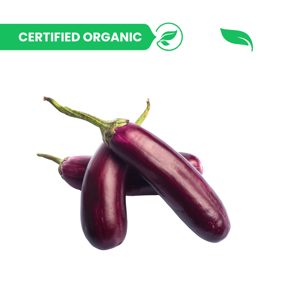 Brinjal Long - 500g