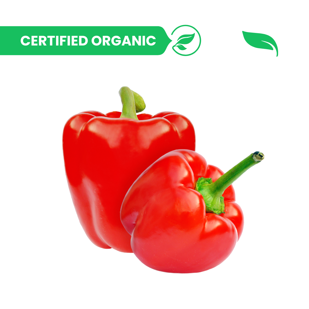 Capsicum Red - 250g
