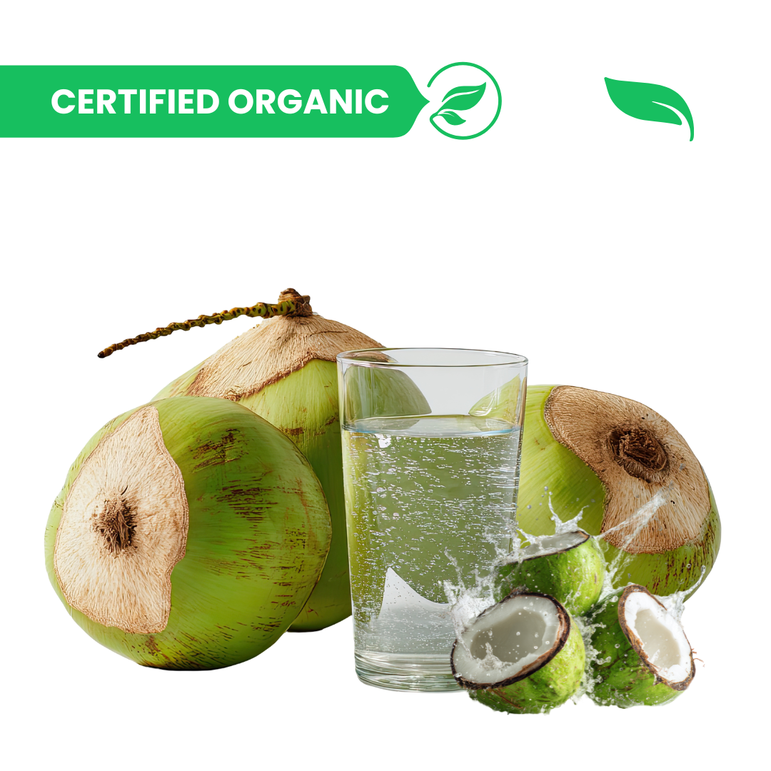Coconut (Water) - 1 pieces