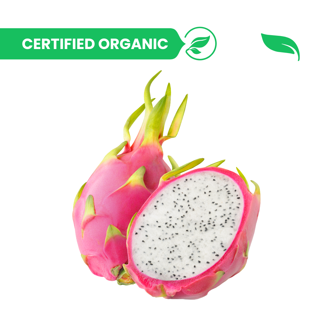 Dragon Fruit - 1 piece