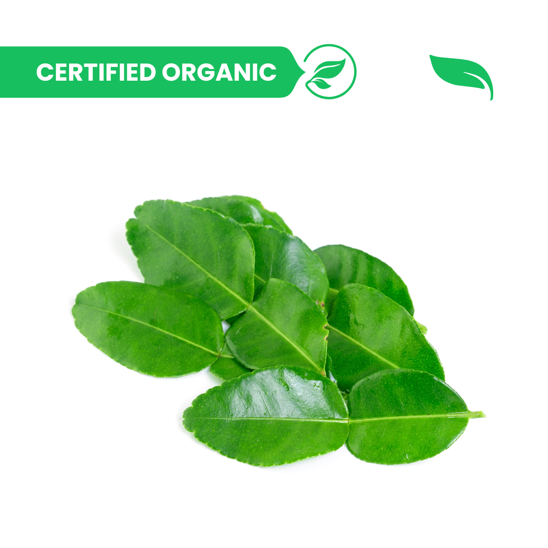 Kafir Lime Leaves - 100g
