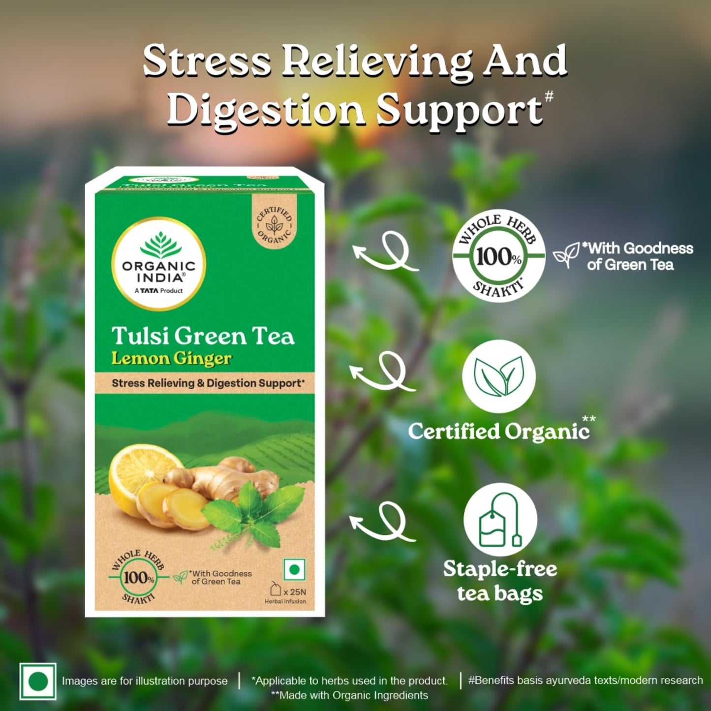 Organic India Tulsi Green Tea, Lemon Ginger I Tea Bags - 25 Nos