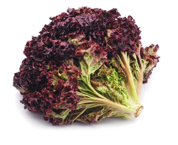 Black Rose Lettuce - 100g