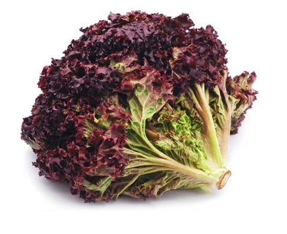 Black Rose Lettuce - 100g