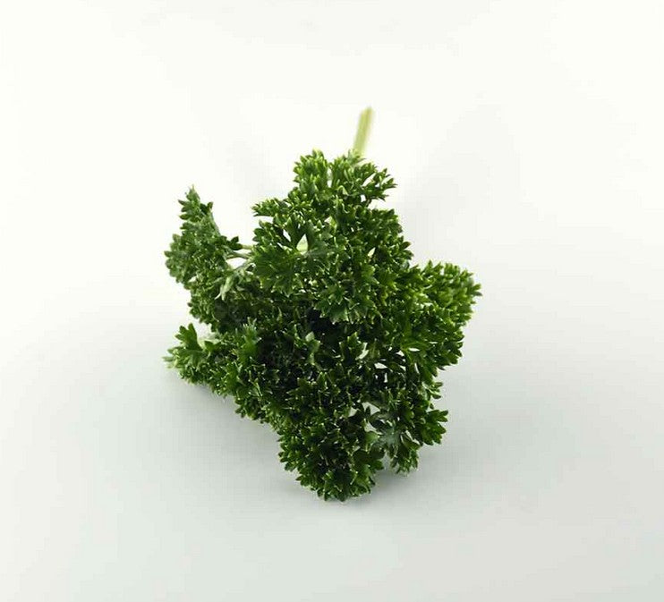 Curly Parsley - 100g