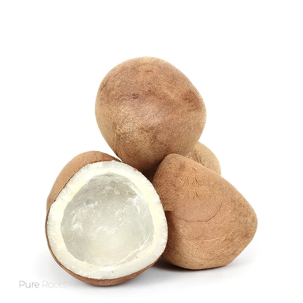 Dried Coconut / Gola - 1 Piece (150-180g)