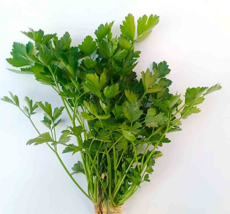 Flat Parsley (Italian) - 100g