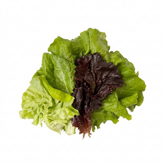 Lettuce Mix - 100g