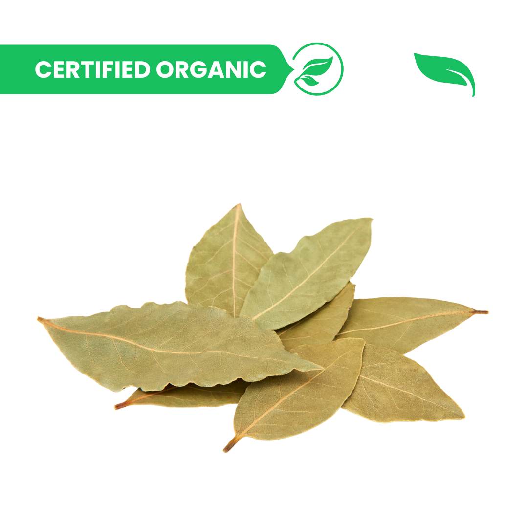 Organic Bay Leaf (Tej Patta) - 100g