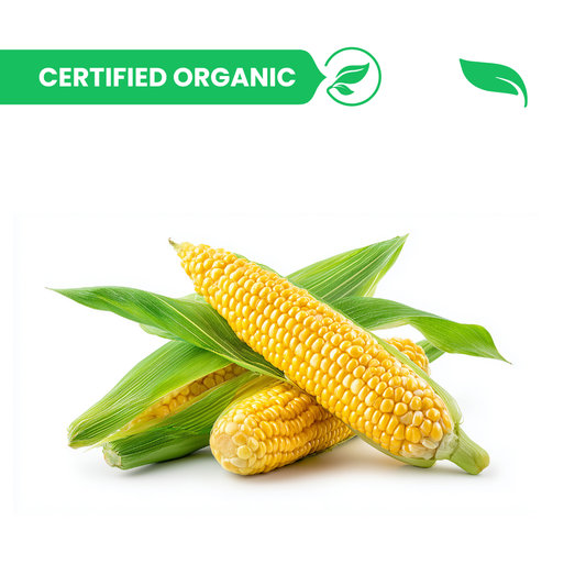 Bhutta / Corn On The Cob - 500g