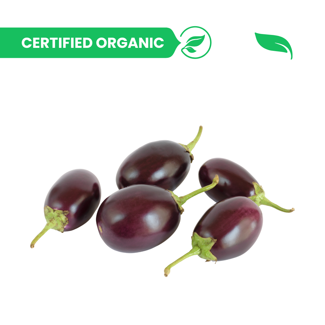 Brinjal Small Round - 500g