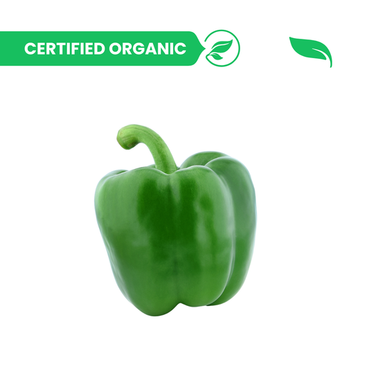 Capsicum Green - 250g