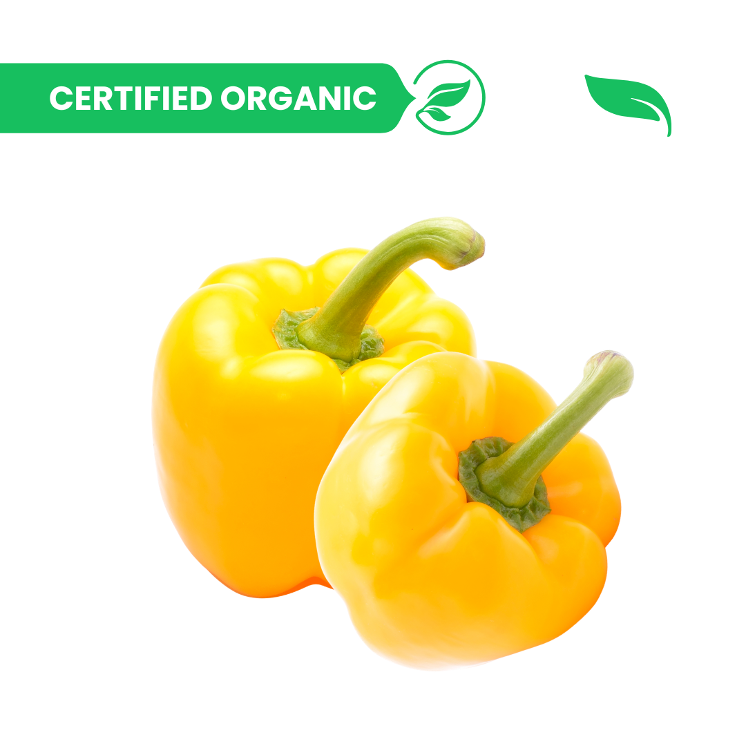 Capsicum Yellow - 250g