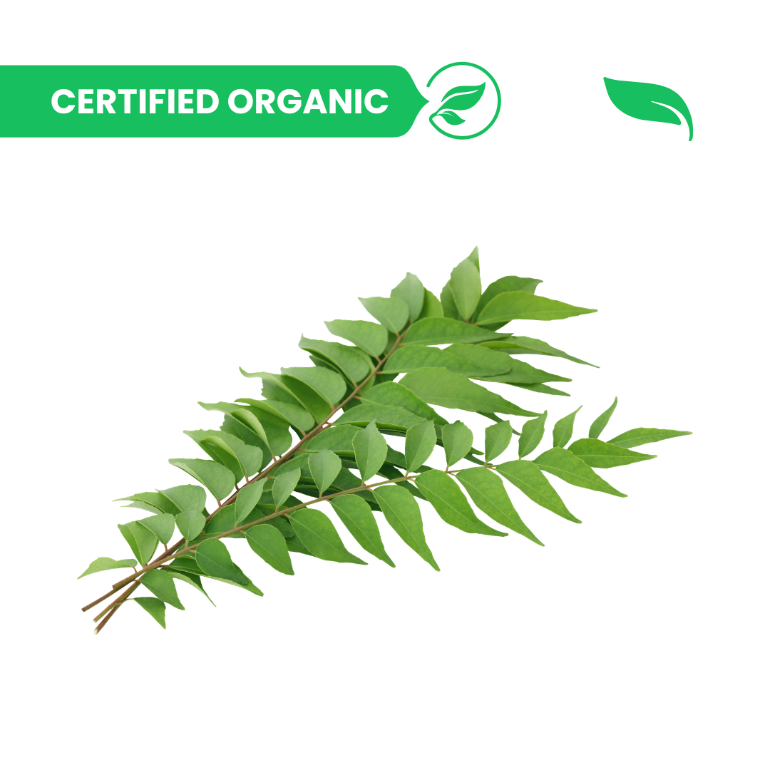 Curry Leaves - 100g