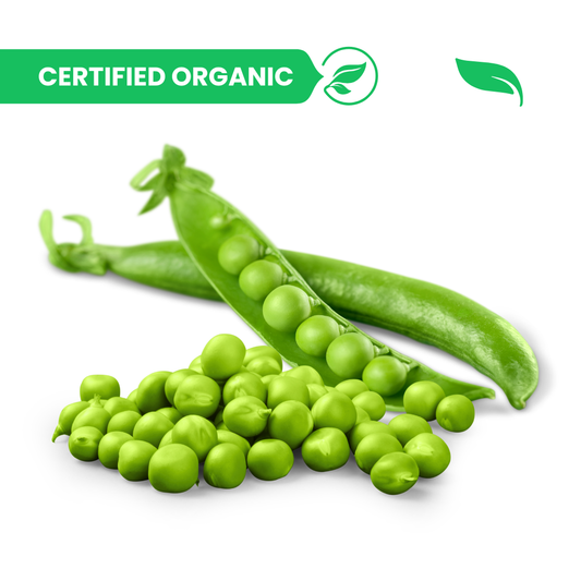 Green Peas / Matar (Shimla) - 1kg