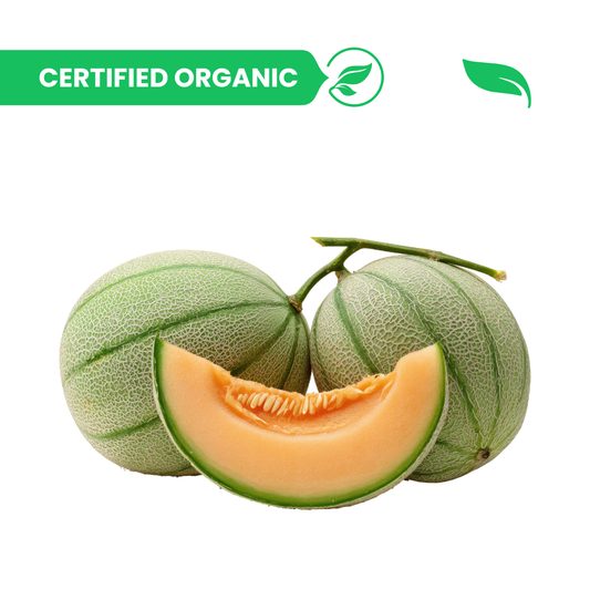 Muskmelon - 1 pieces