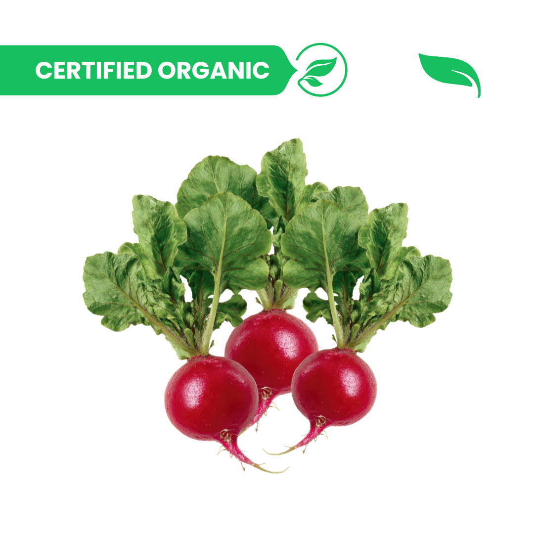 Red Radish / Muli - 500g