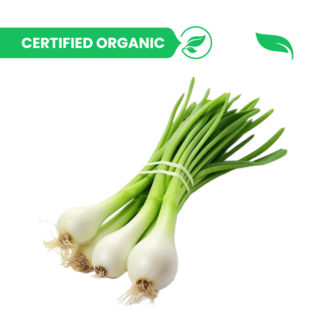 Spring Onion - 250g