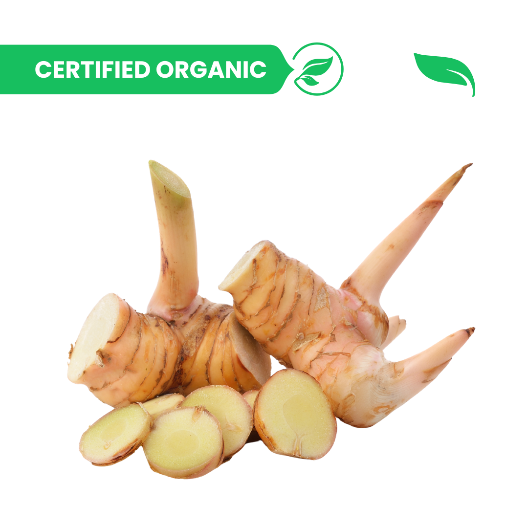 Thai Ginger / Galangal - 100g