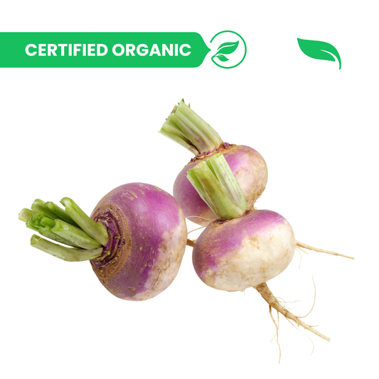 Turnip / Shalgam - 500g