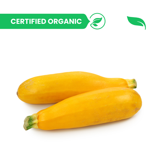 Zucchini Yellow - 250g