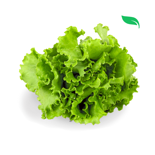 Lettuce Mix - 100g