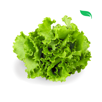 Lettuce Mix - 100g