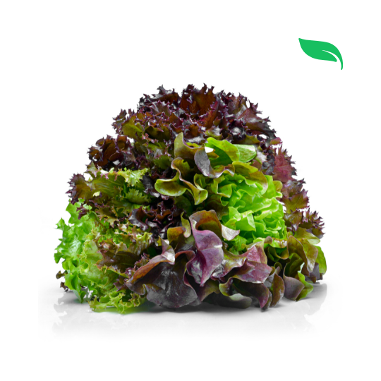 Black Rose Lettuce - 100g