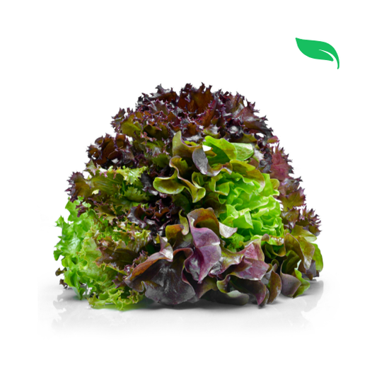 Black Rose Lettuce - 100g