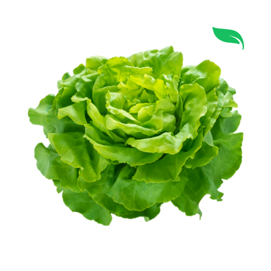Green Leafy Lettuce - 100g