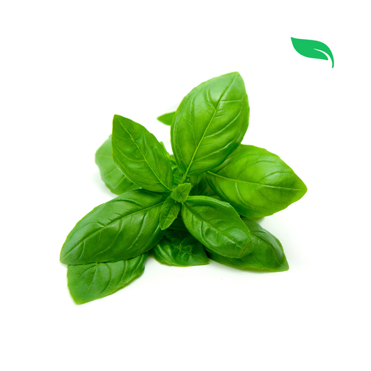 Italian Basil - 50g