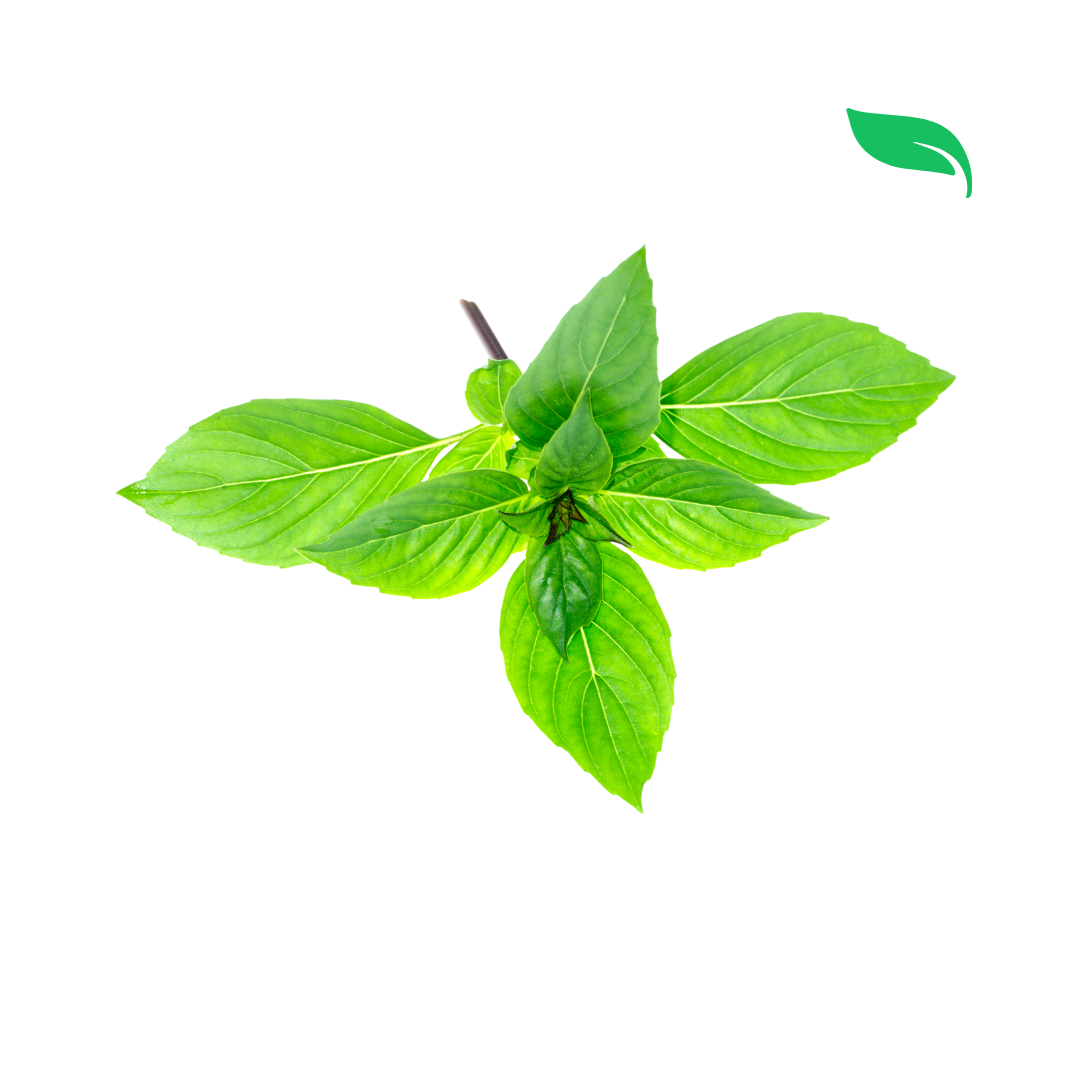 Sweet Thai Basil - 50g
