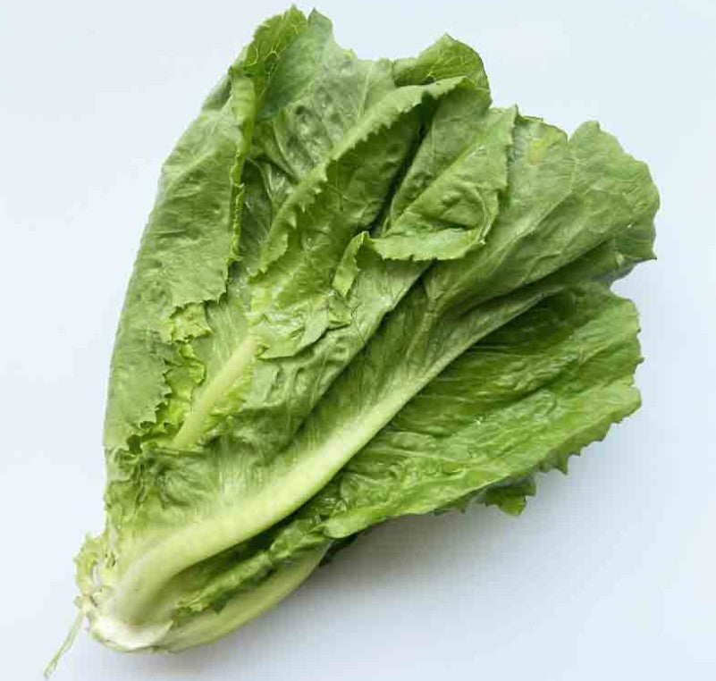 Romaine Lettuce - 100g
