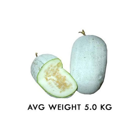 White Pumpkin / Ash Gourd - 4-6kg piece