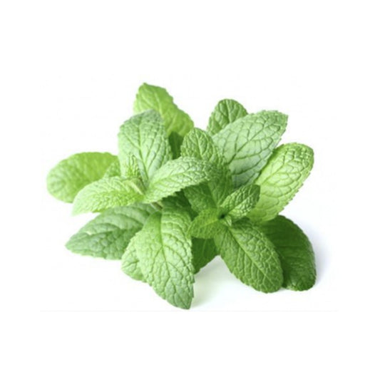 Pudina (Mint) - 50g